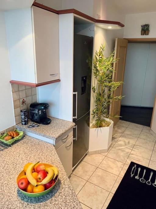 Grand Appartement 2 Chambres 5 Pers Max, Vue Panoramique Avec Parking ミュルーズ エクステリア 写真
