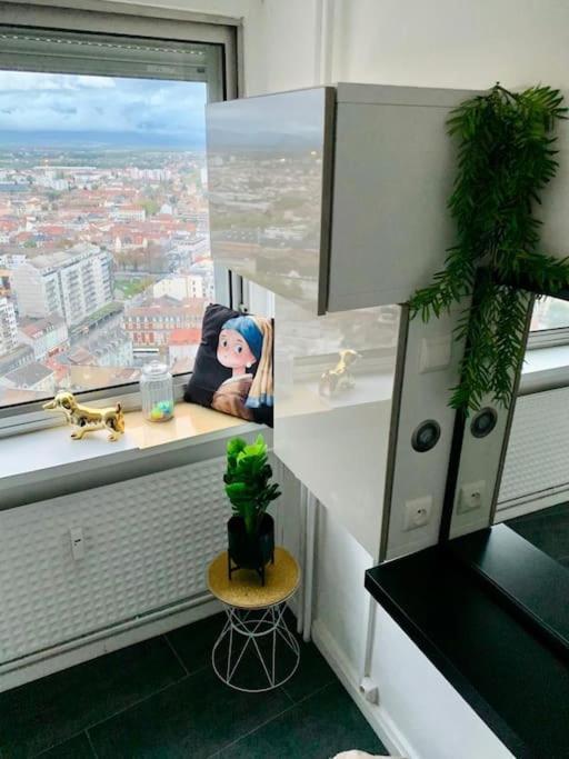 Grand Appartement 2 Chambres 5 Pers Max, Vue Panoramique Avec Parking ミュルーズ エクステリア 写真