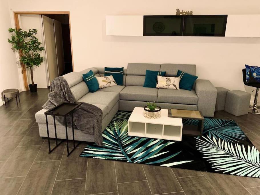 Grand Appartement 2 Chambres 5 Pers Max, Vue Panoramique Avec Parking ミュルーズ エクステリア 写真