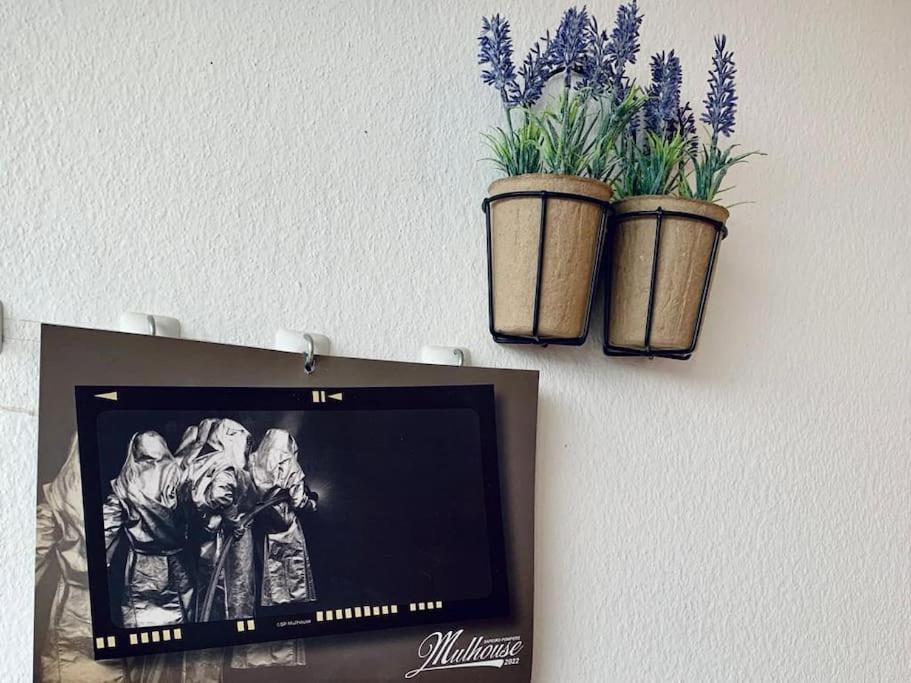 Grand Appartement 2 Chambres 5 Pers Max, Vue Panoramique Avec Parking ミュルーズ エクステリア 写真
