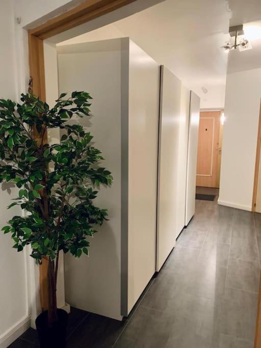 Grand Appartement 2 Chambres 5 Pers Max, Vue Panoramique Avec Parking ミュルーズ エクステリア 写真
