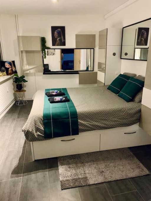 Grand Appartement 2 Chambres 5 Pers Max, Vue Panoramique Avec Parking ミュルーズ エクステリア 写真