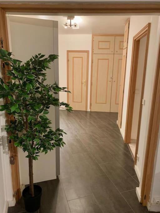 Grand Appartement 2 Chambres 5 Pers Max, Vue Panoramique Avec Parking ミュルーズ エクステリア 写真