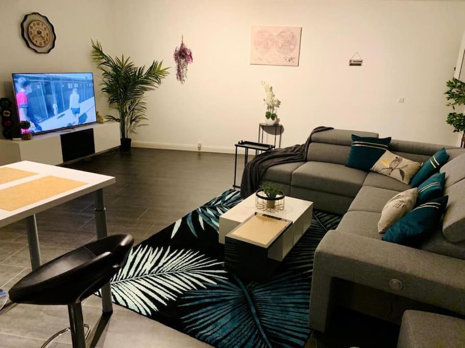 Grand Appartement 2 Chambres 5 Pers Max, Vue Panoramique Avec Parking ミュルーズ エクステリア 写真