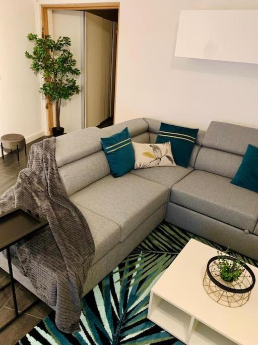 Grand Appartement 2 Chambres 5 Pers Max, Vue Panoramique Avec Parking ミュルーズ エクステリア 写真