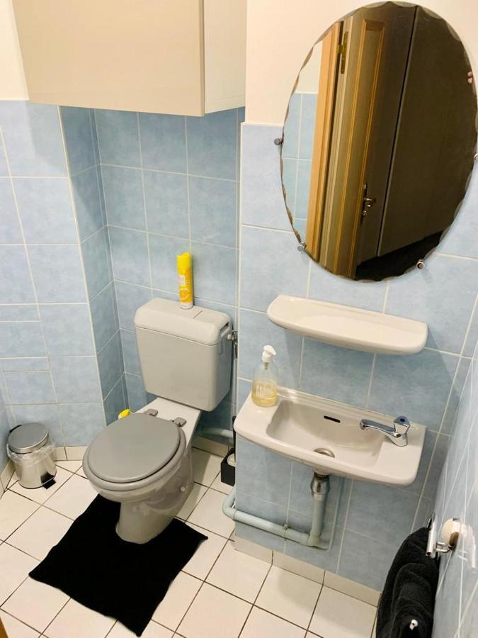 Grand Appartement 2 Chambres 5 Pers Max, Vue Panoramique Avec Parking ミュルーズ エクステリア 写真